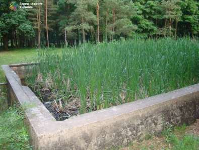 Бассейн, построенный для фюрера и Евы Браун. Ставка Гитлера «Вервольф»